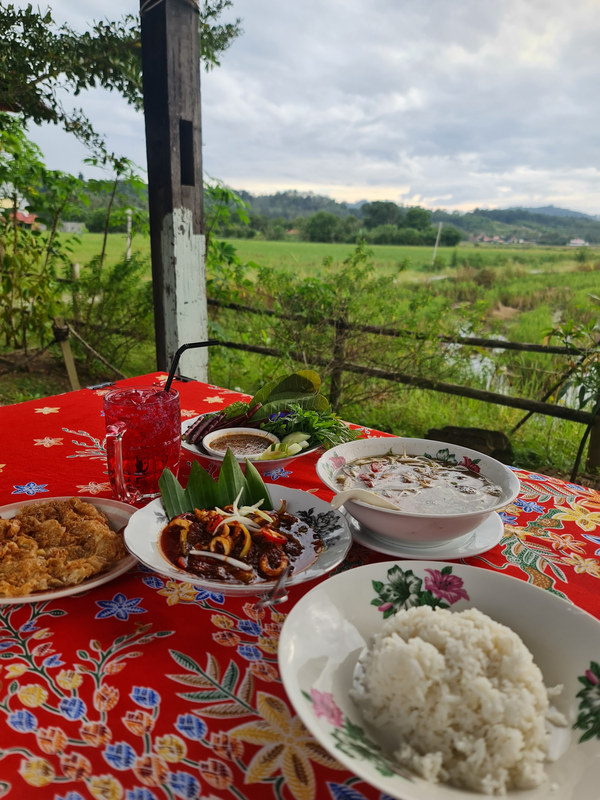 Kampung-style dishes and rice on a table overlooking green paddy fields.