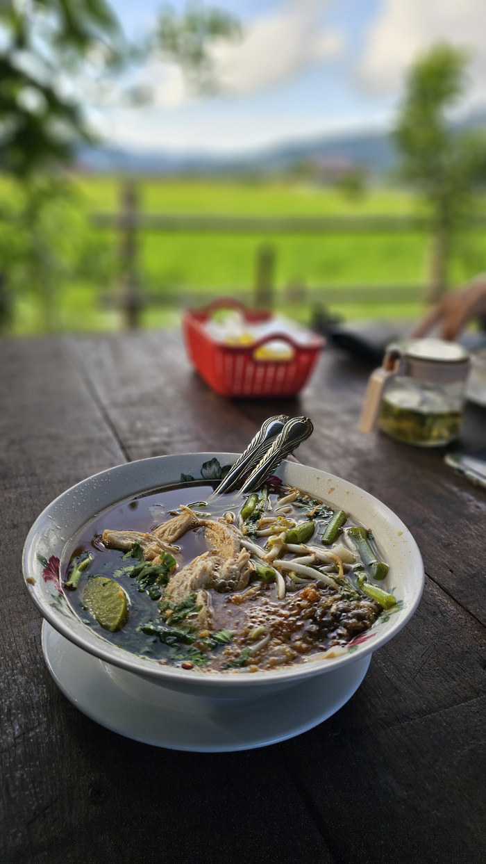 A bowl of noodle soup on a wooden table with green fields behind.